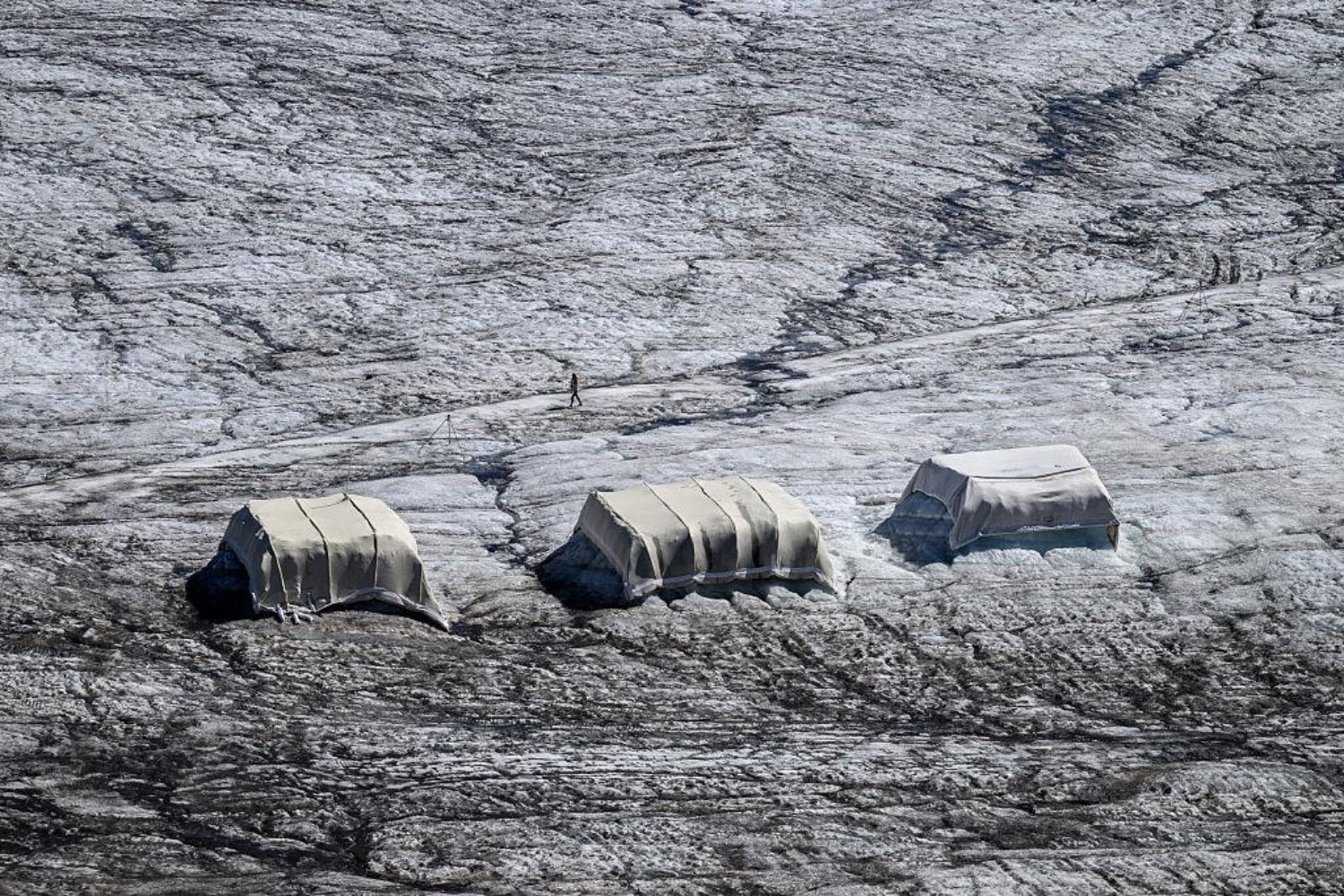 Cuatro estudiantes cubrieron un glaciar suizo con 200 m² de lana de oveja. Tres meses después, la idea dejó de parecer una locura