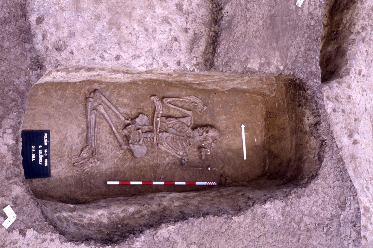 Hace 7.000 años, una mujer fue enterrada con objetos reservados habitualmente a los hombres. Sus huesos han revelado algo que los arqueólogos no esperaban