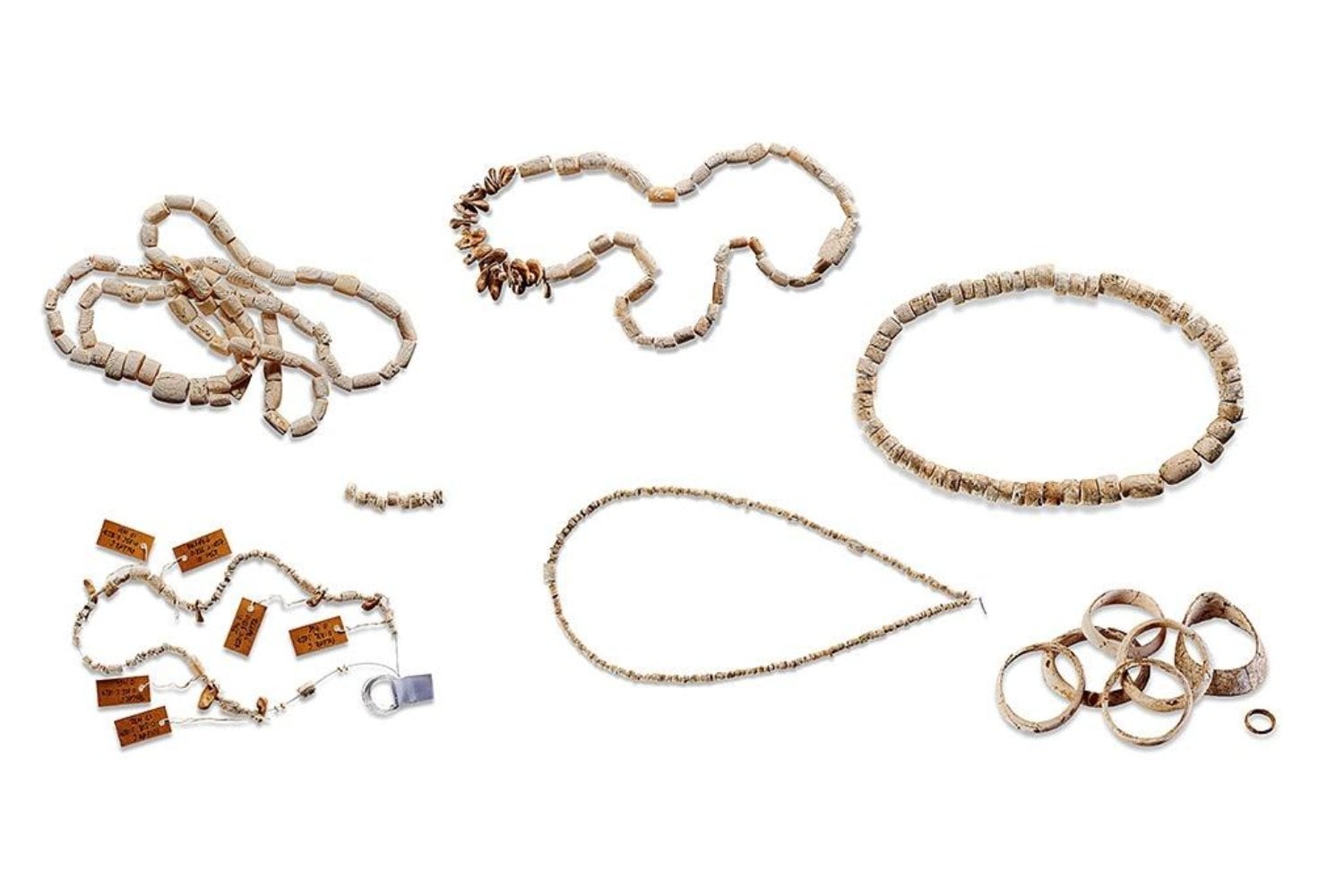 Hace 7.000 años, una mujer fue enterrada con objetos reservados habitualmente a los hombres. Sus huesos han revelado algo que los arqueólogos no esperaban