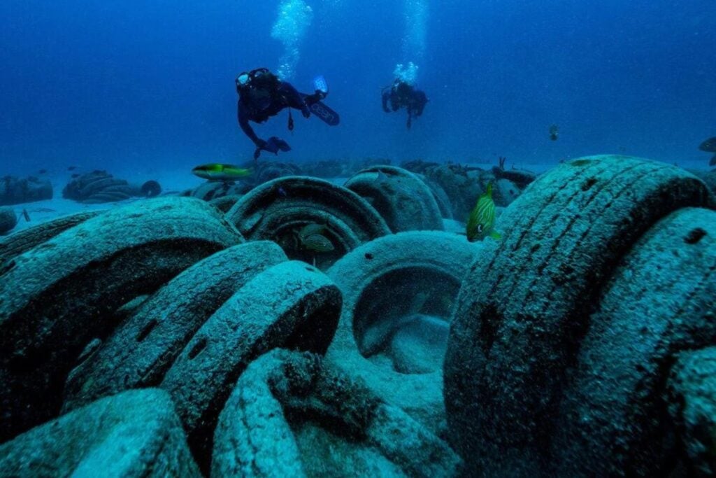 En Florida arrojaron casi dos millones de neumáticos al océano para crear un arrecife artificial. Medio siglo después, siguen intentando reparar el desastre