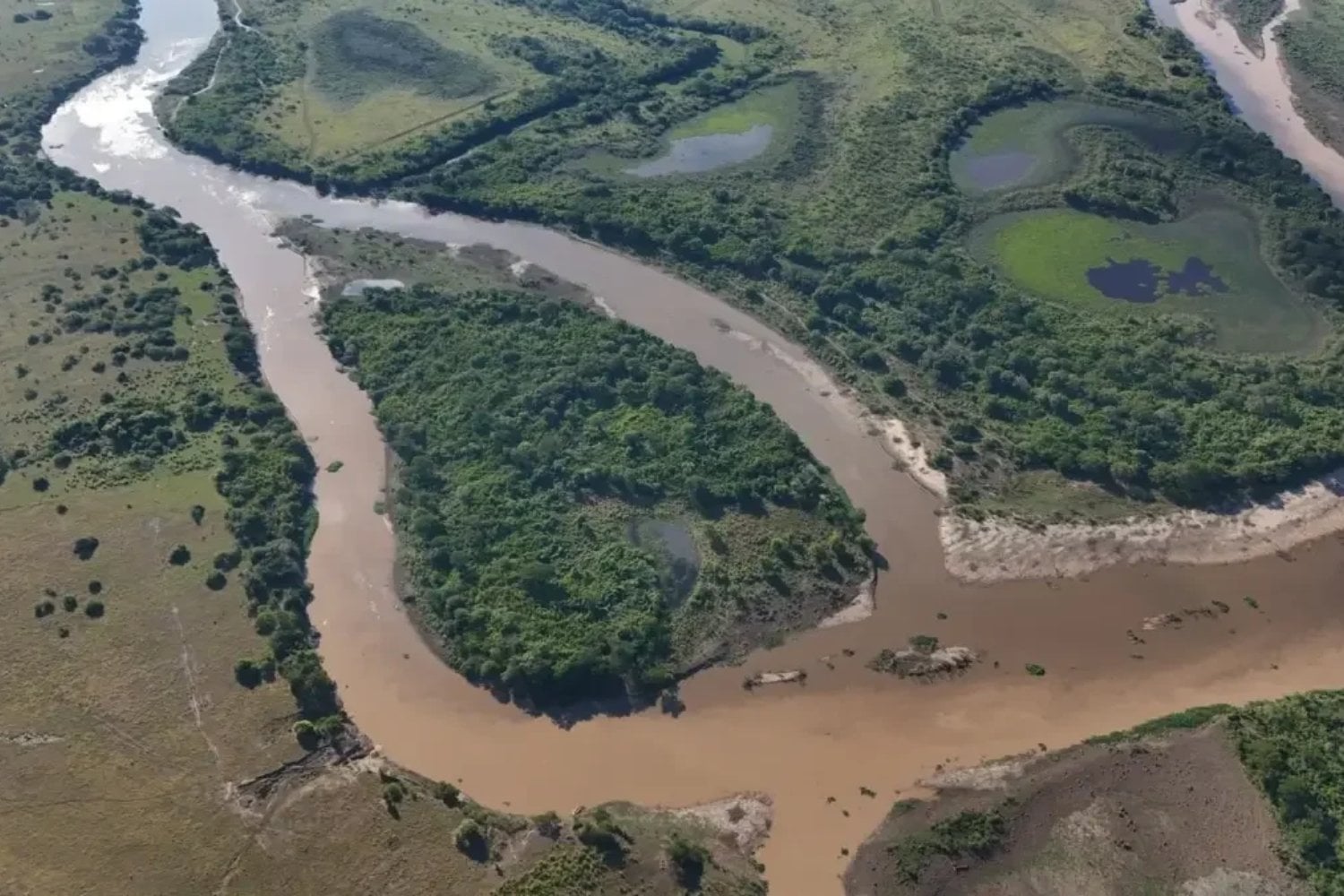 El Niño puede provocar inundaciones, sequías y desastres naturales. Pero la ciencia ha descubierto que también es responsable de algo extraordinario para la vida en la Tierra