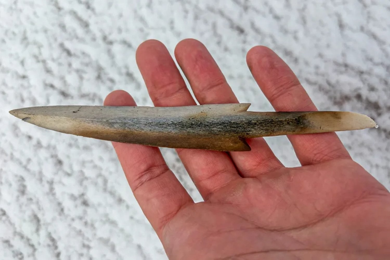 Un glaciar de Noruega se está derritiendo y debajo hay algo que llevaba 6.000 años esperando: los arqueólogos ya recuperaron 48 flechas