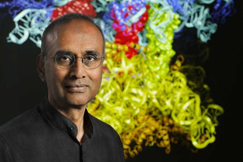Sabemos que vamos a morir, pero nuestro cerebro parece comportarse como si la muerte fuera cosa de otros. Un Nobel cree que esa ilusión nos protege