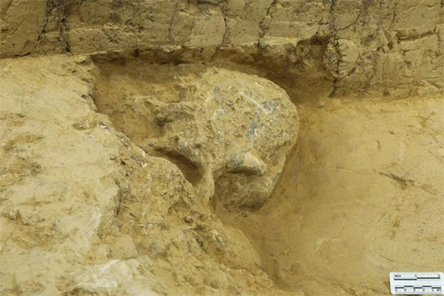 Arqueólogos descubren en Perú diez rostros de una misteriosa cultura de hace 1.500 años. Lo que encontraron podría cambiar la historia de los mochicas
