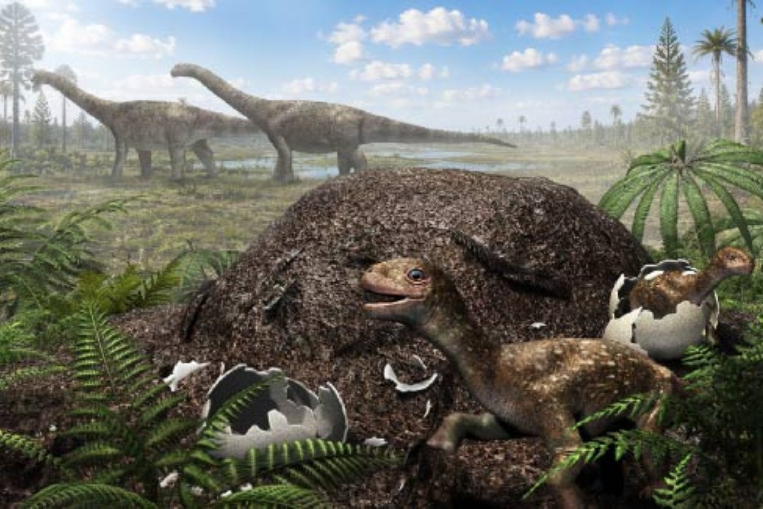 Encontraron huevos de dinosaurio donde el frío debería haberlos condenado. La pista está en una incubadora de hace 66 millones de años