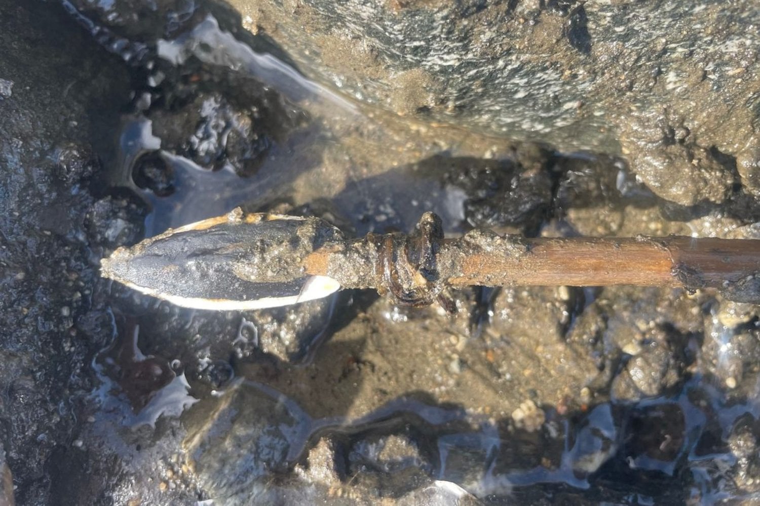 Un glaciar de Noruega se está derritiendo y debajo hay algo que llevaba 6.000 años esperando: los arqueólogos ya recuperaron 48 flechas