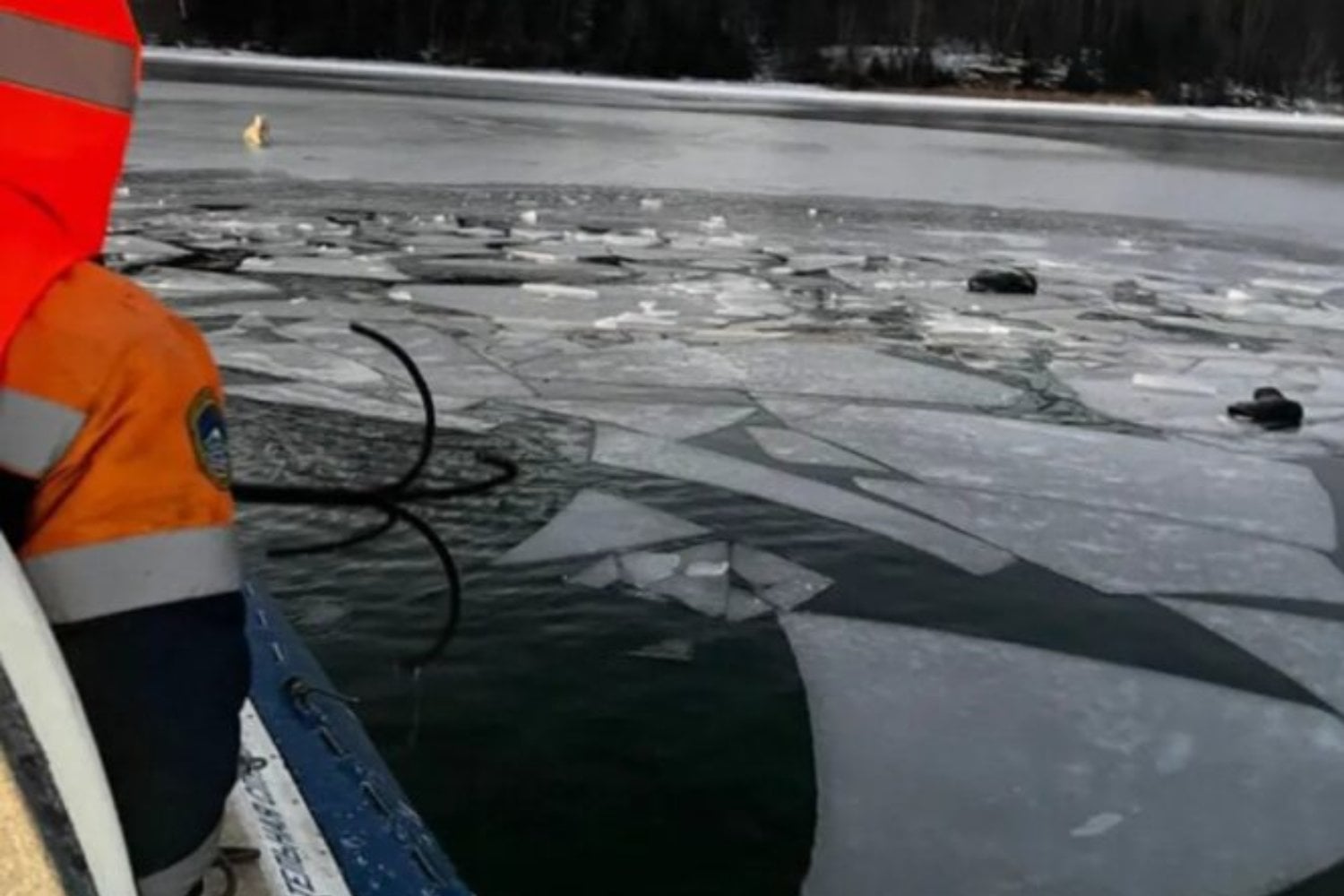 Su dueño desapareció bajo el hielo de un río en Rusia. Durante cuatro días, una perra regresó al mismo lugar esperando algo que nunca iba a ocurrir