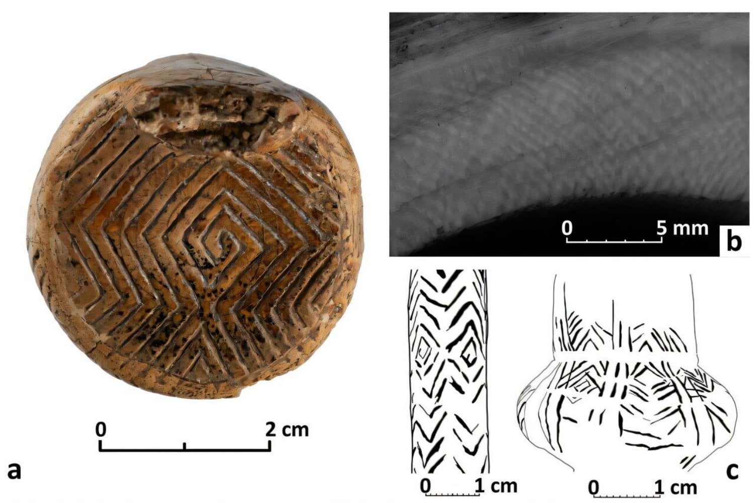 Hace 18.000 años, alguien talló 18 pequeñas figuras en colmillos de mamut. Un siglo después de encontrarlas, los científicos han descubierto algo que cambia la historia del arte