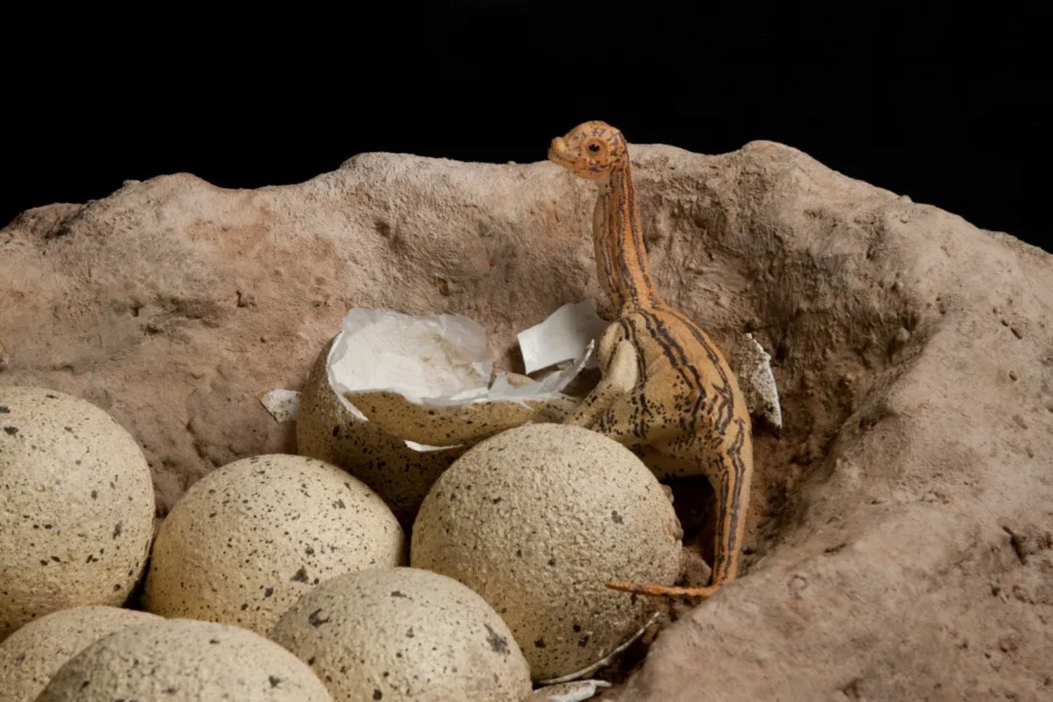 Encontraron huevos de dinosaurio donde el frío debería haberlos condenado. La pista está en una incubadora de hace 66 millones de años