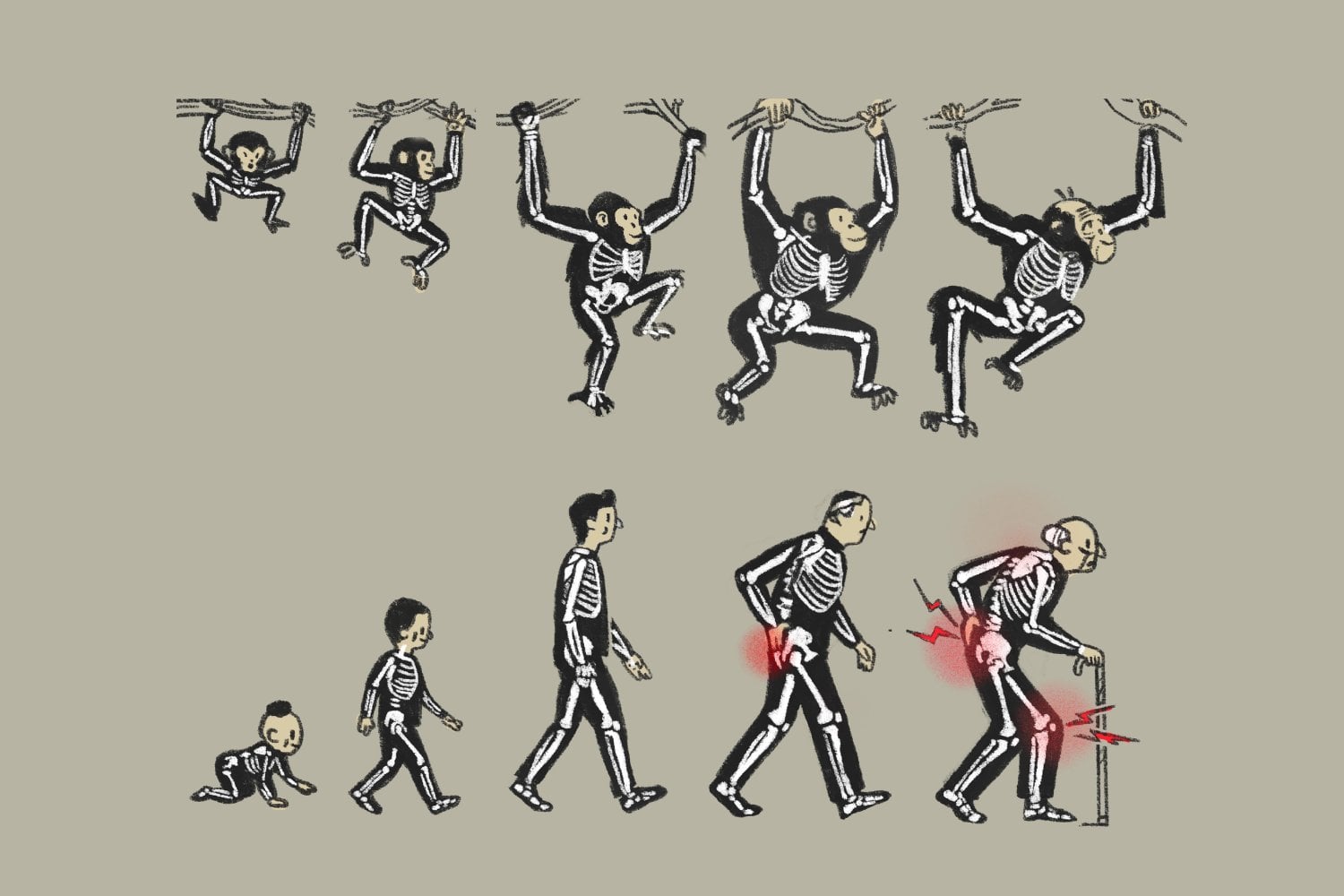 La evolución nos dio un cuerpo capaz de caminar durante horas. El precio pudo quedar escondido en nuestras articulaciones
