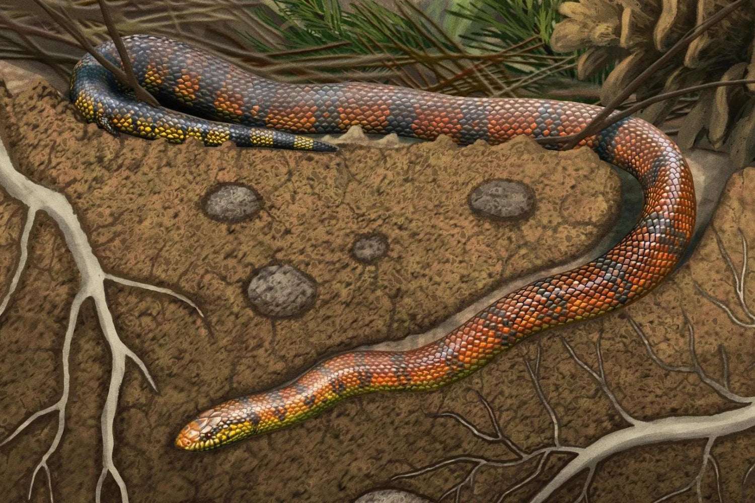 Encontraron una serpiente de 80 millones de años en Brasil y descubrieron algo desconcertante. Su cerebro está cambiando lo que sabíamos de estos reptiles