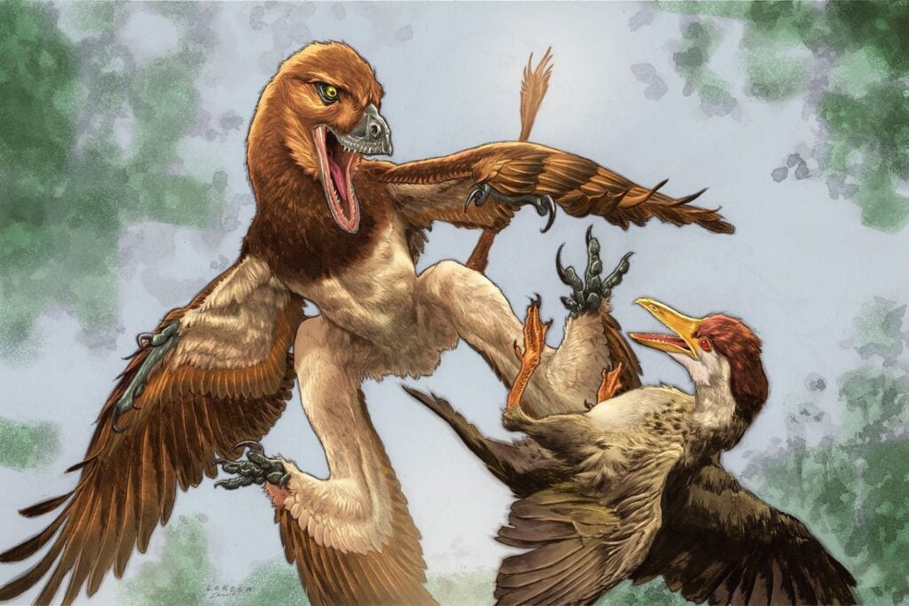 Hace 150 millones de años vivió en China un ave con dientes y garras de dinosaurio. Su fósil acaba de revelar algo inesperado sobre el origen del vuelo