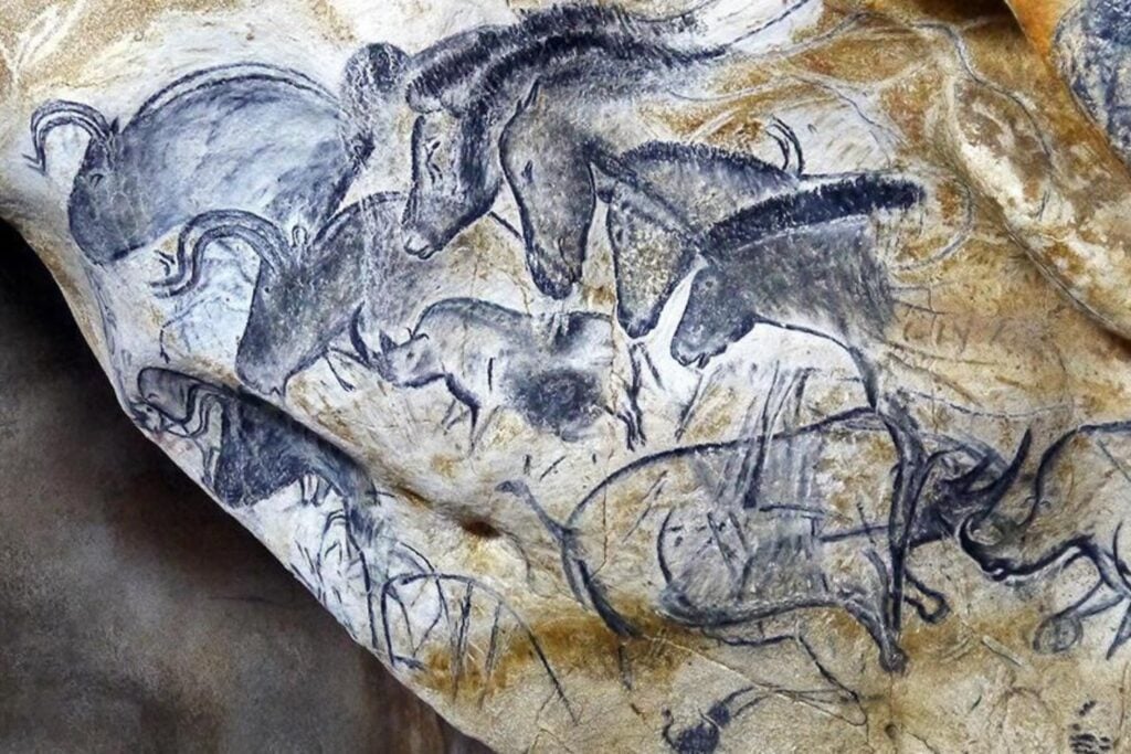 Hace 37.000 años, nuestros antepasados dibujaron animales en una cueva de Francia. Ahora los científicos descubrieron el secreto natural que pudo conservar sus pinturas hasta hoy