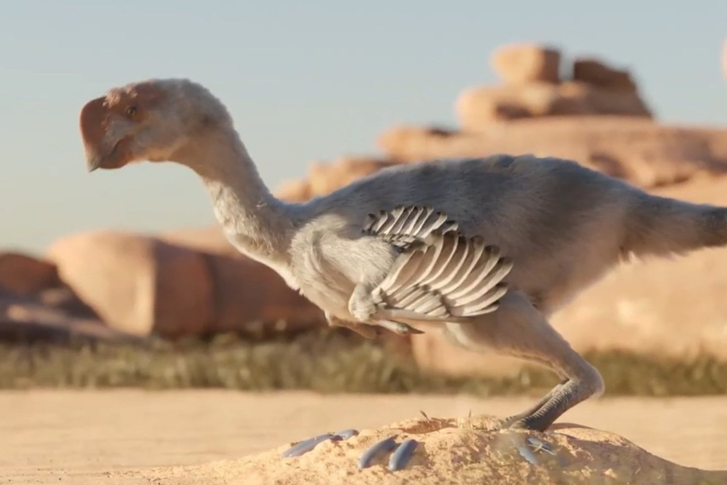 Un dinosaurio de apenas 57 centímetros acaba de complicar la historia del vuelo: sus cuatro alas siguieron un camino distinto al de las aves