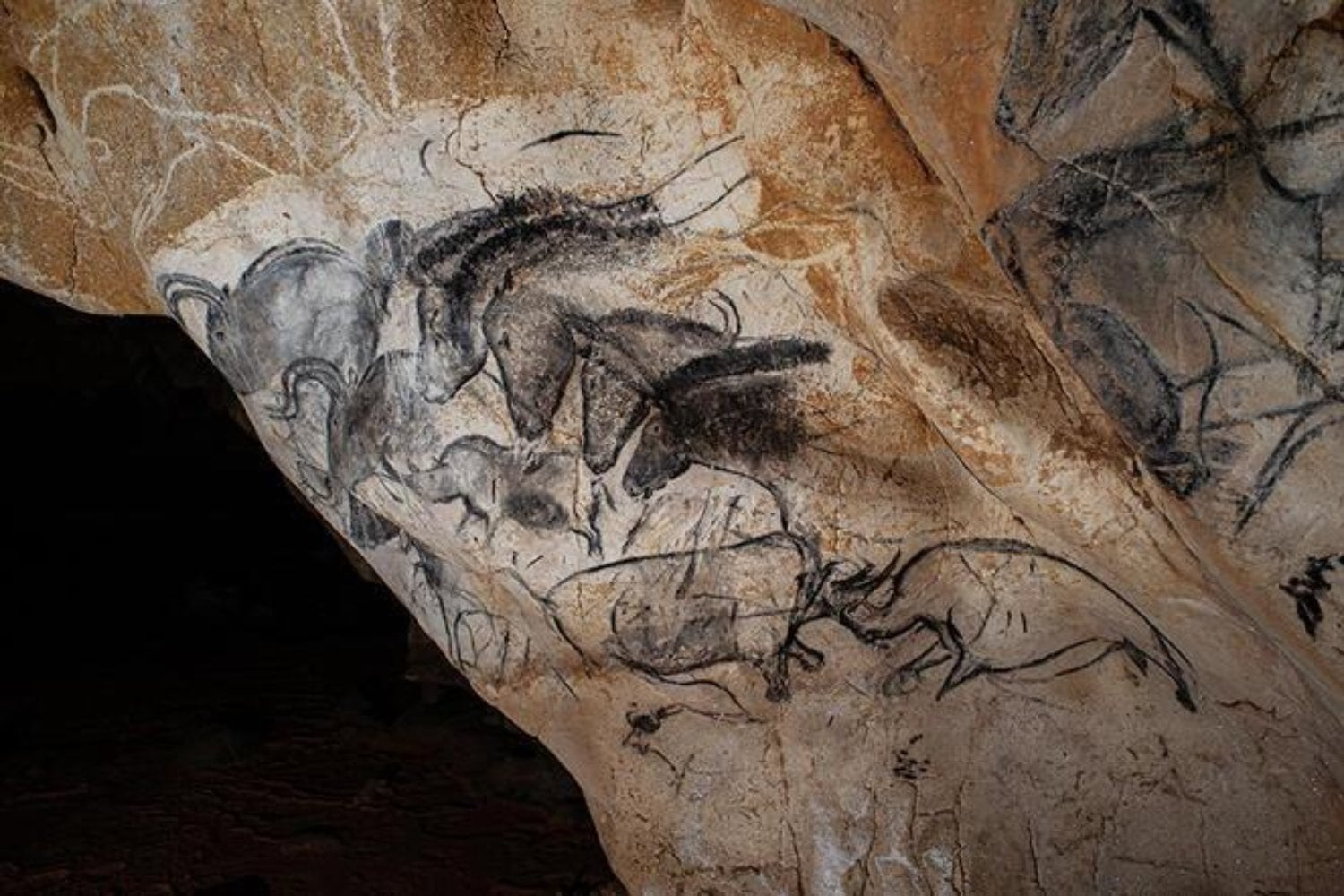 Hace 37.000 años, nuestros antepasados dibujaron animales en una cueva de Francia. Ahora los científicos descubrieron el secreto natural que pudo conservar sus pinturas hasta hoy