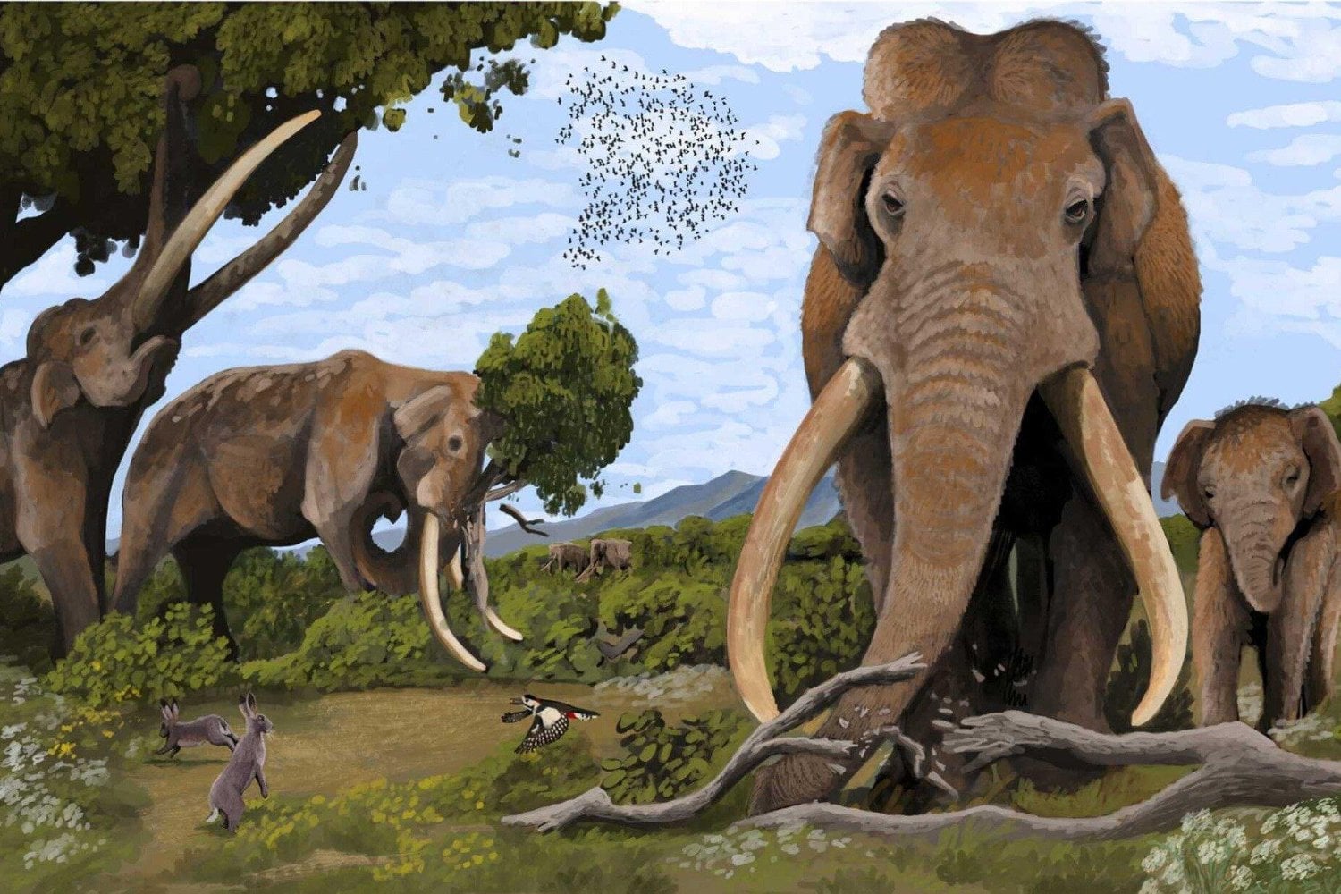 Hace 125.000 años, unos elefantes gigantes recorrieron cientos de kilómetros por Europa. Sus dientes han revelado quién los esperaba al final del viaje