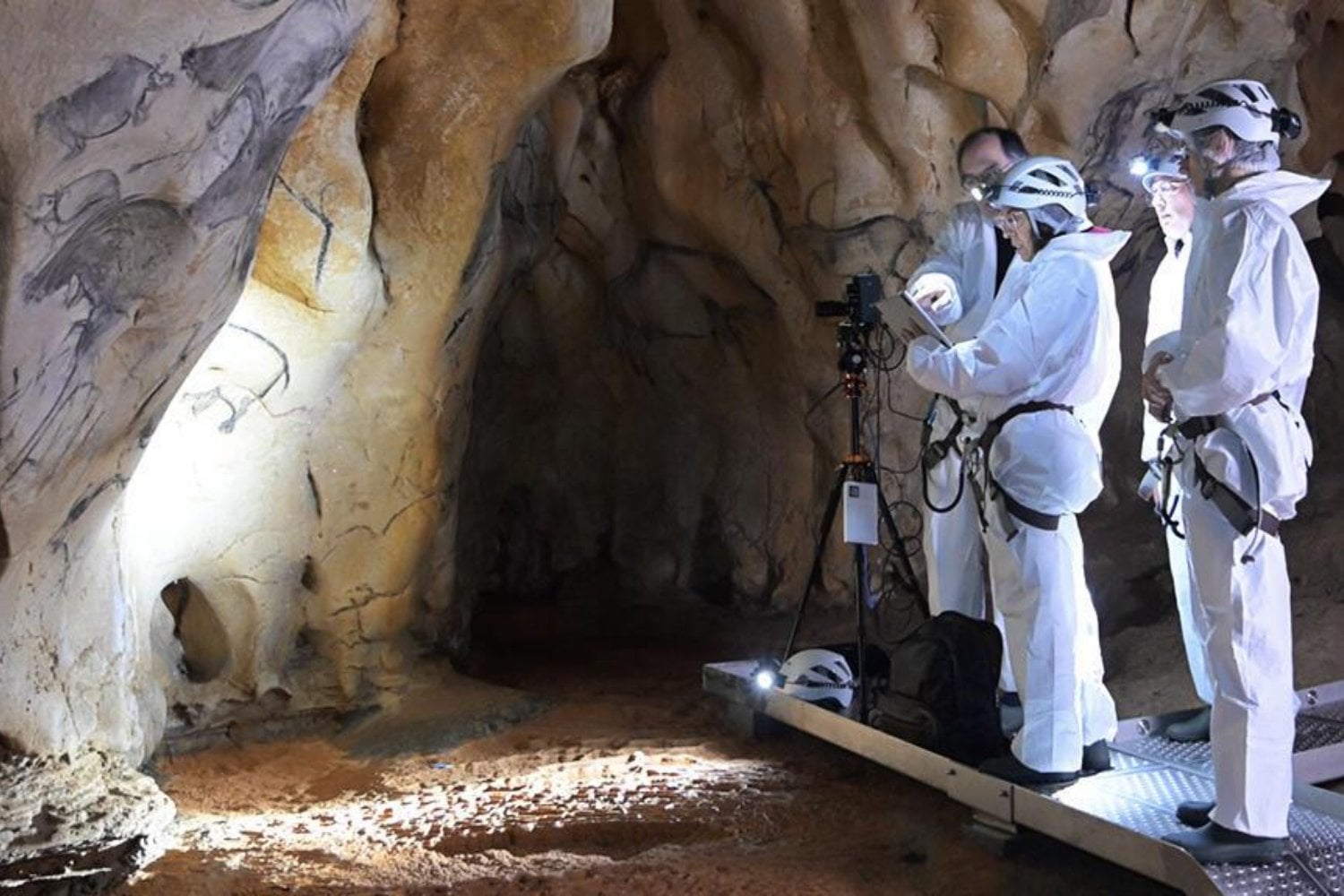 Hace 37.000 años, nuestros antepasados dibujaron animales en una cueva de Francia. Ahora los científicos descubrieron el secreto natural que pudo conservar sus pinturas hasta hoy