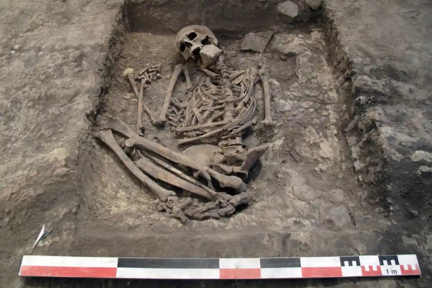 Hace 3.700 años, alguien fue enterrado para que todos le pisaran la cara. La piedra en su boca sugiere que querían silenciarlo incluso después de muerto