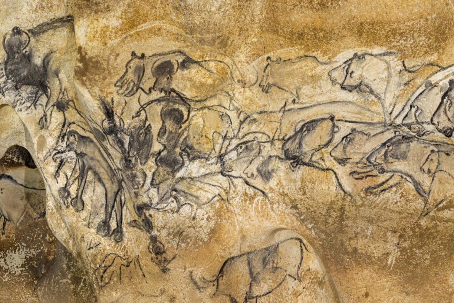 Hace 37.000 años, nuestros antepasados dibujaron animales en una cueva de Francia. Ahora los científicos descubrieron el secreto natural que pudo conservar sus pinturas hasta hoy