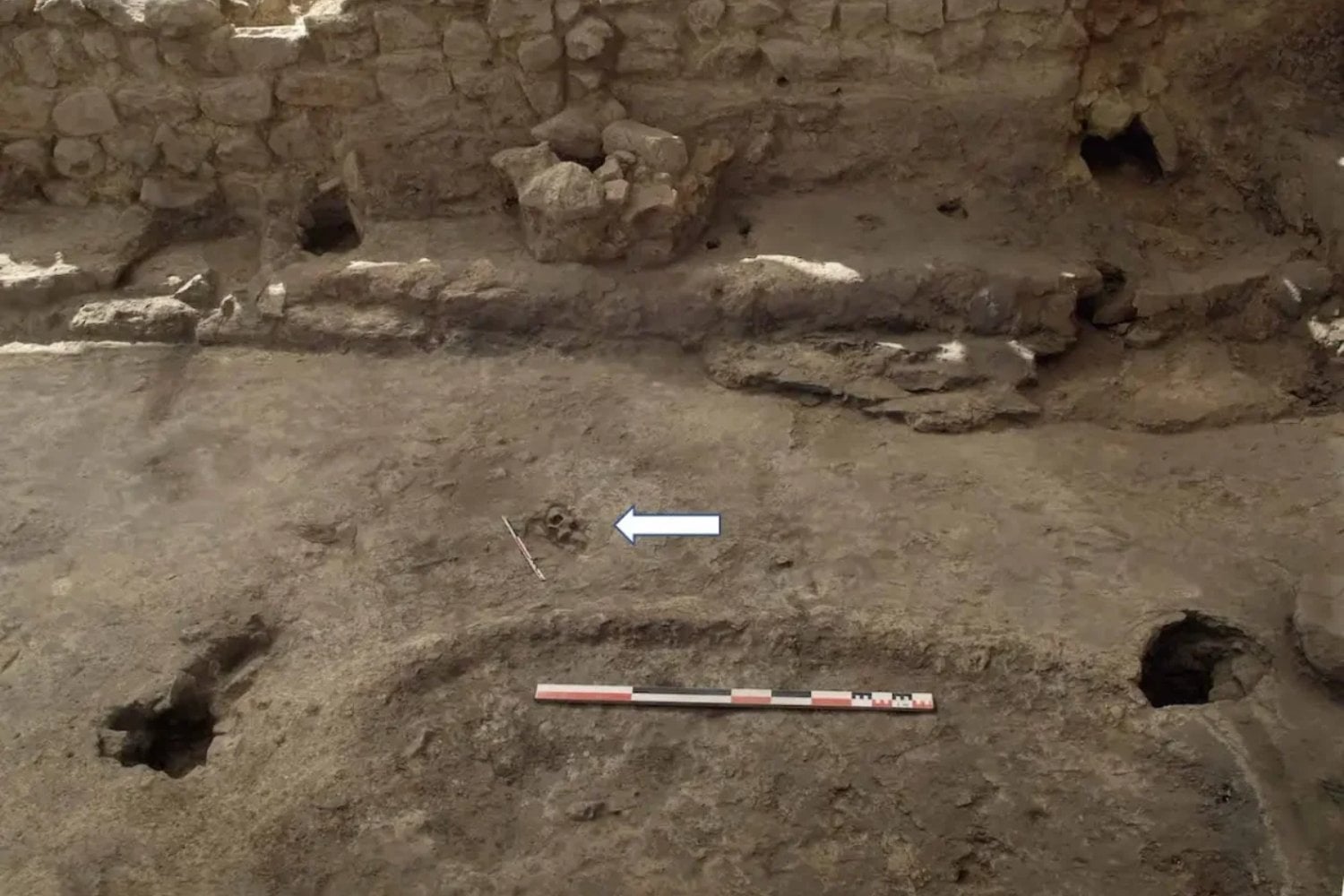 Hace 3.700 años, alguien fue enterrado para que todos le pisaran la cara. La piedra en su boca sugiere que querían silenciarlo incluso después de muerto