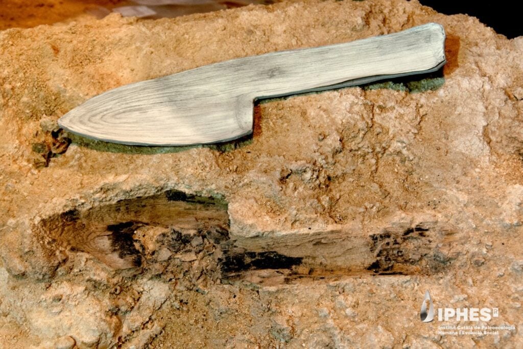 Durante décadas creímos conocer las herramientas de los neandertales. Un hallazgo en Barcelona acaba de sacar a la luz toda una tecnología que había desaparecido