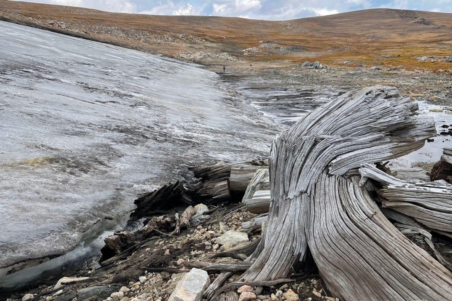 El hielo conservó momias y secretos de los vikingos durante miles de años. Ahora está derritiéndose y los científicos descubren algo que podría desaparecer para siempre