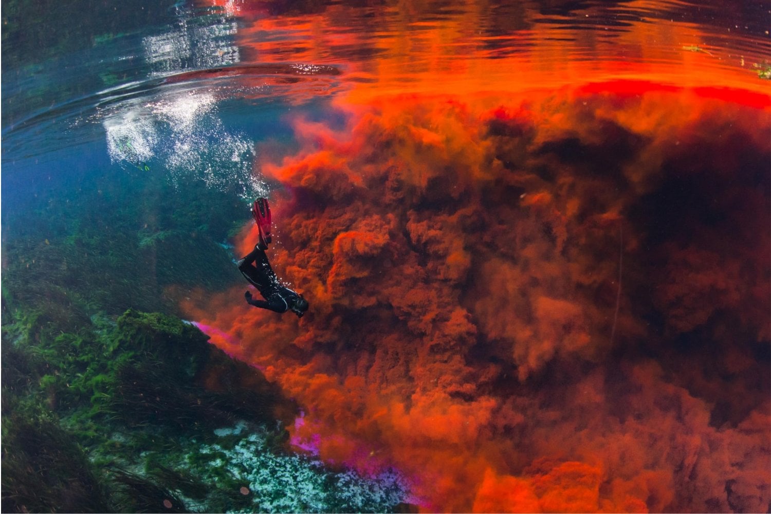 Florida tiene un lago que literalmente desaparece. Los científicos vertieron un colorante rosa en uno de sus sumideros y 35 días después apareció a 30 kilómetros