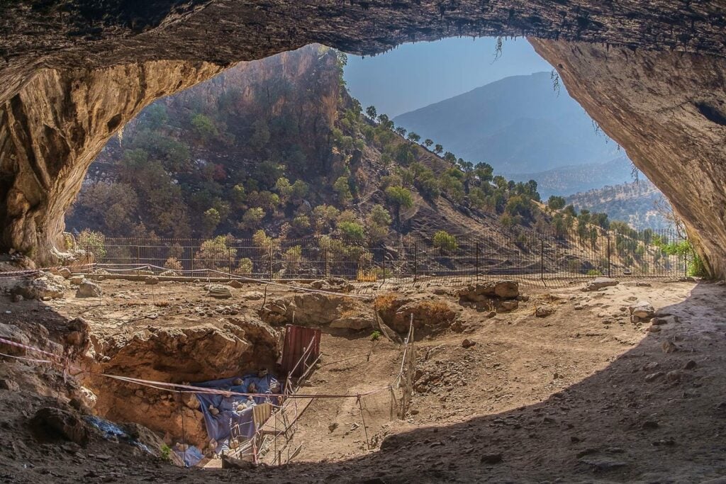 Hace 75.000 años, un neandertal sobrevivió a un golpe brutal en el rostro. Lo que encontraron en sus huesos revela un final todavía más inquietante
