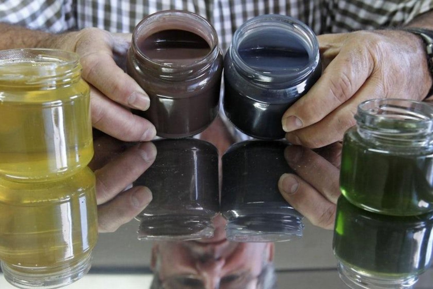 En Francia, unas abejas empezaron a producir miel azul y verde. Los apicultores siguieron su rastro y descubrieron una conexión insólita con los M&M's
