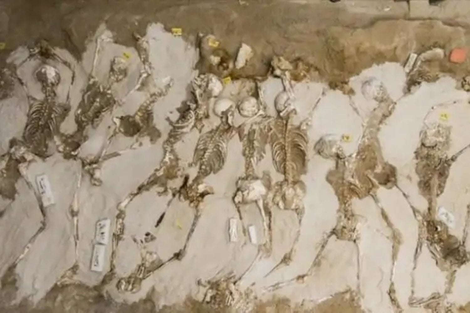 En Atenas encontraron 79 hombres enterrados con grilletes hace 2.600 años. Durante una década parecieron extranjeros, hasta que sus dientes contaron otra historia