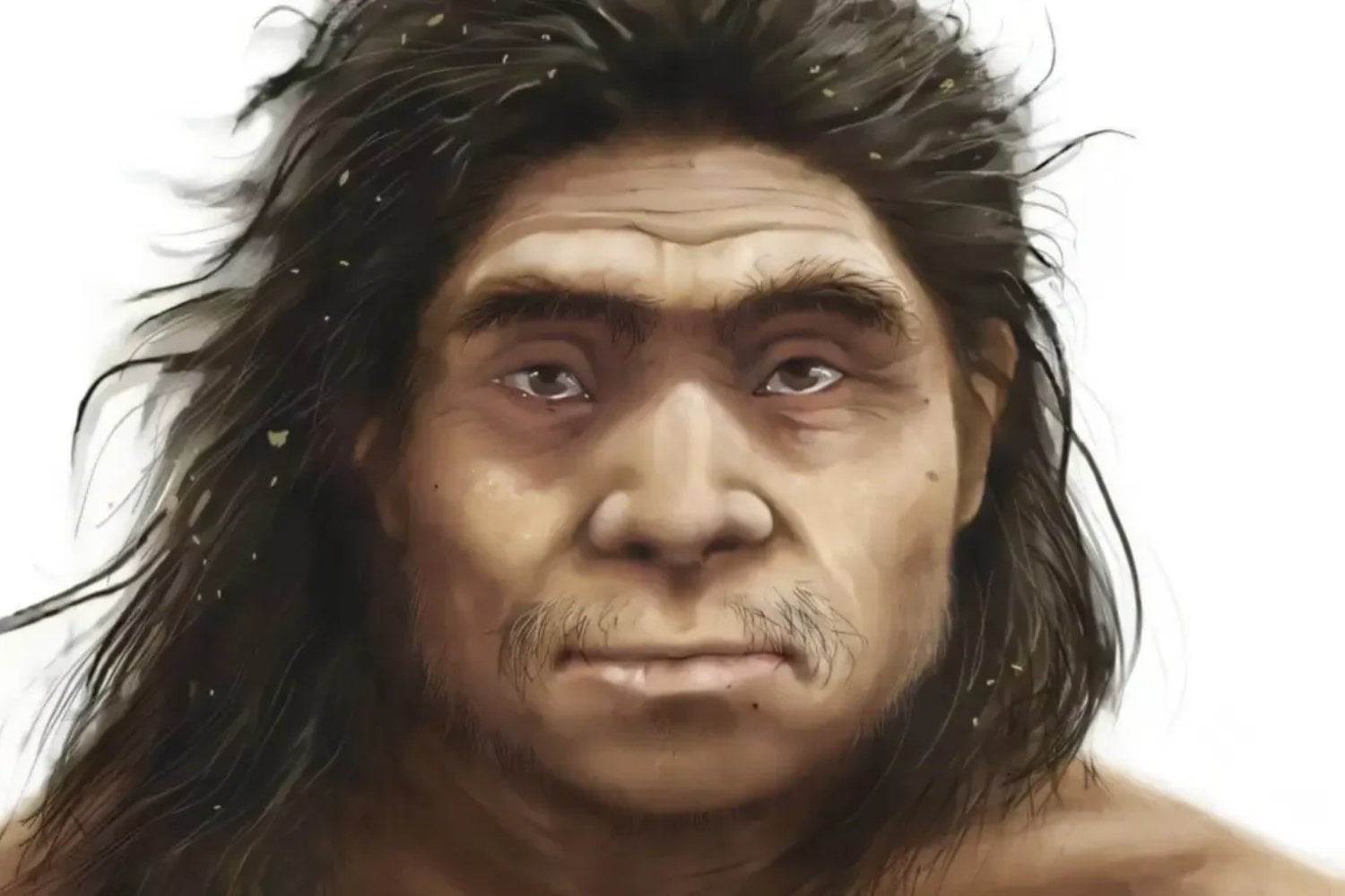 Unos fósiles de 200.000 años llevaban medio siglo desconcertando a los científicos en China. Ahora podrían haber revelado el verdadero rostro de los denisovanos
