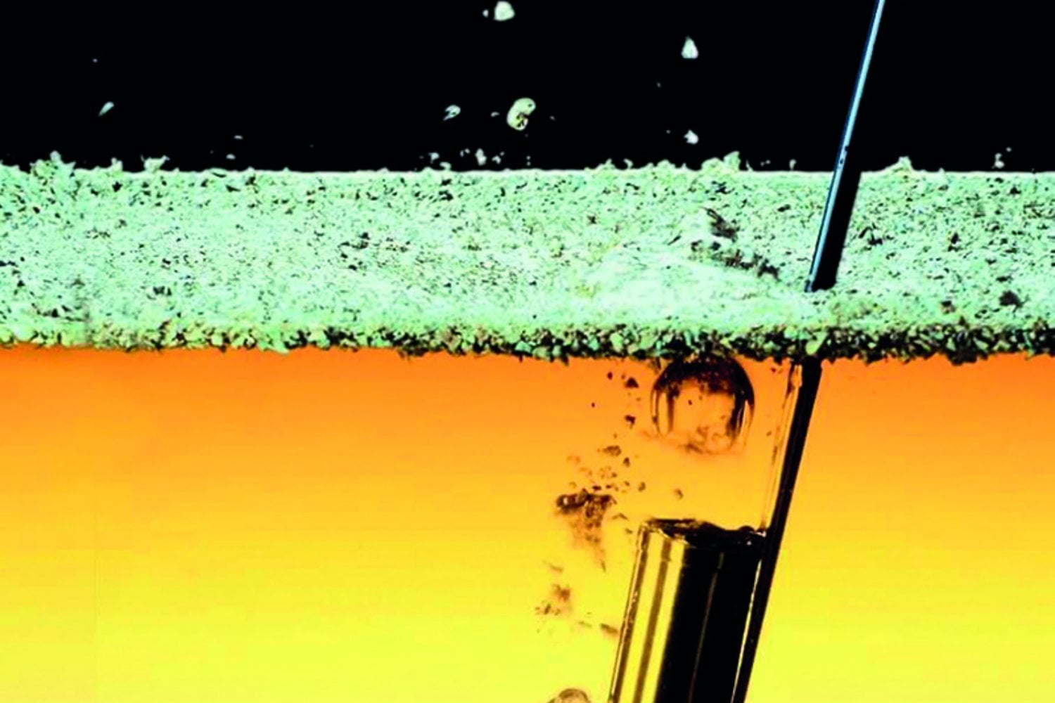 Llevamos miles de años usando levaduras para hacer pan y cerveza. Ahora los científicos quieren convertirlas en fábricas capaces de producir alimentos, vitaminas y medicamentos
