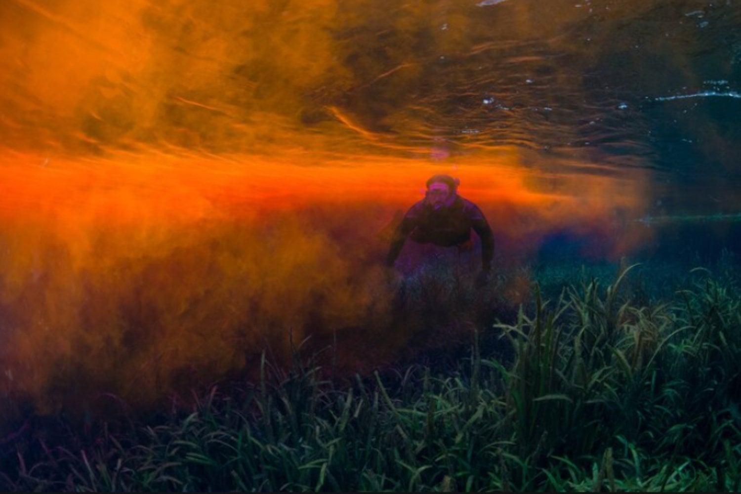 Florida tiene un lago que literalmente desaparece. Los científicos vertieron un colorante rosa en uno de sus sumideros y 35 días después apareció a 30 kilómetros