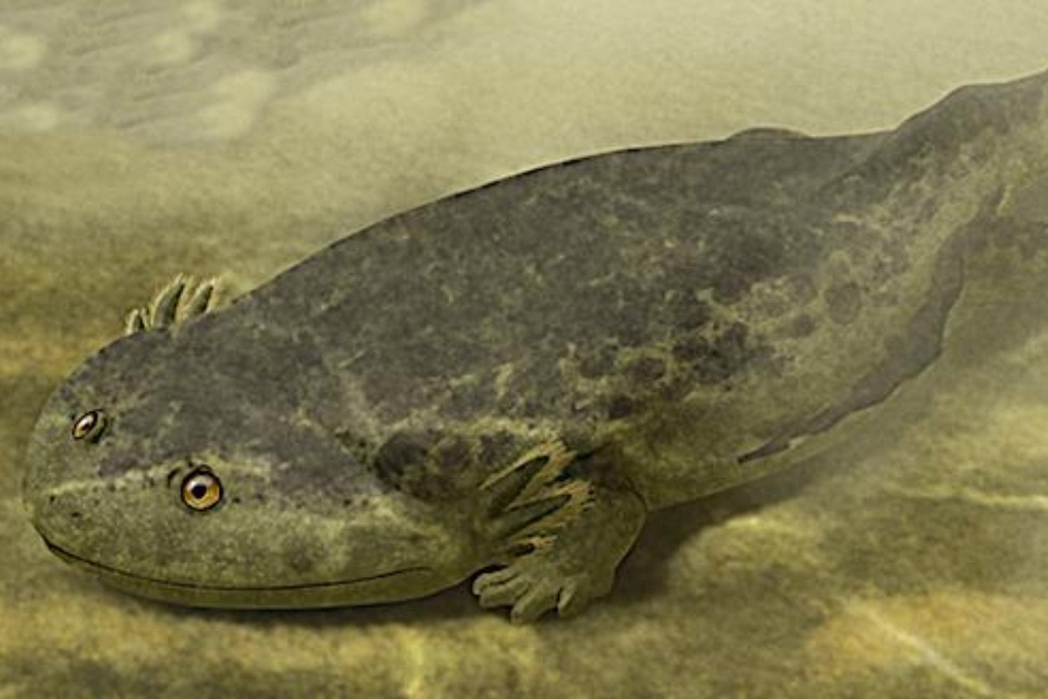 Hace 237 millones de años, un extraño anfibio logró vivir en el océano pese al agua salada. Sus fósiles aparecieron en China y revelaron una armadura que podría explicar cómo sobrevivía