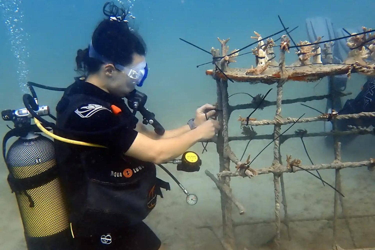 Una pequeña isla de Madagascar busca voluntarios para bucear entre corales y estudiar arrecifes. El problema está en lo que hay que aceptar para hacerlo