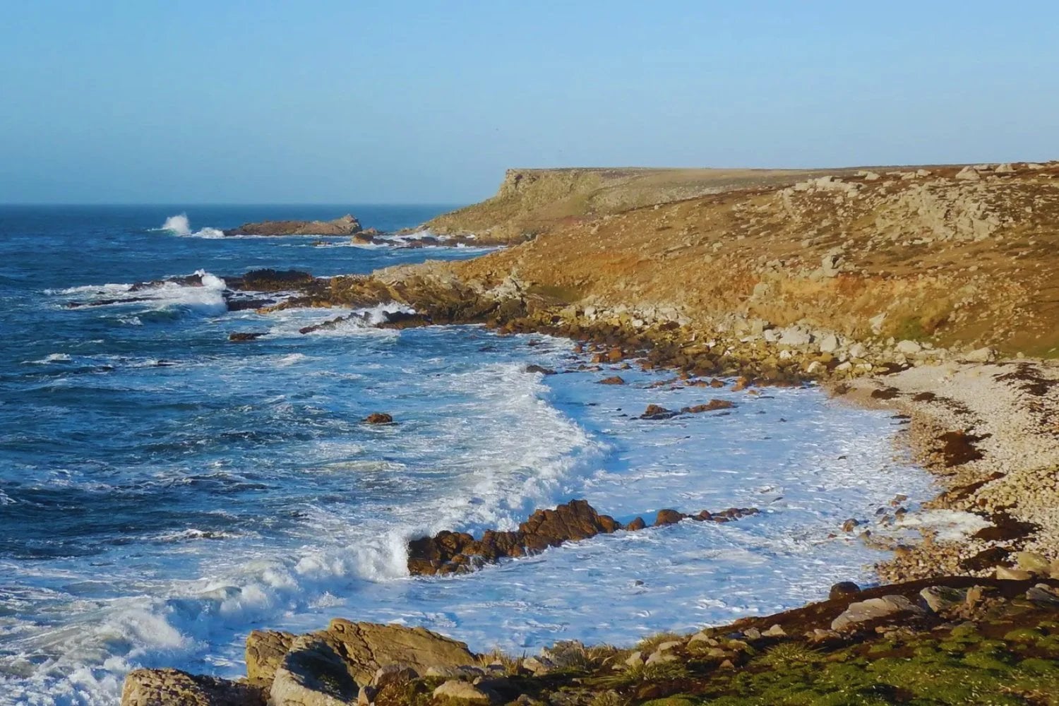Las Islas Malvinas escondían 1.300 años de historia bajo tierra. Un hallazgo reveló algo inquietante sobre el Atlántico Sur