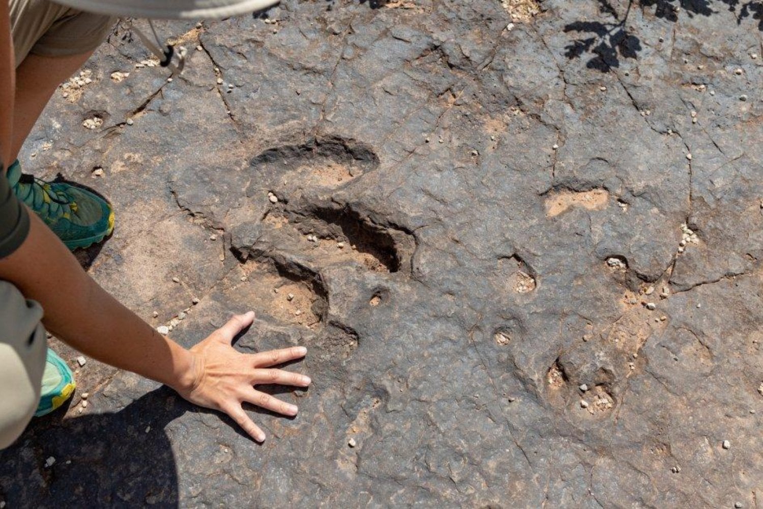 Unos vecinos encontraron extrañas huellas gigantes en un arroyo de México. Los científicos descubrieron que llevaban 65 millones de años esperando allí