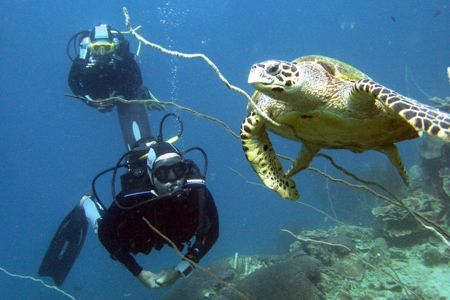 Una pequeña isla de Madagascar busca voluntarios para bucear entre corales y estudiar arrecifes. El problema está en lo que hay que aceptar para hacerlo