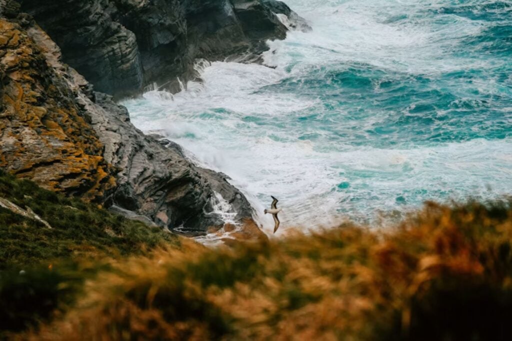 Las Islas Malvinas escondían 1.300 años de historia bajo tierra. Un hallazgo reveló algo inquietante sobre el Atlántico Sur