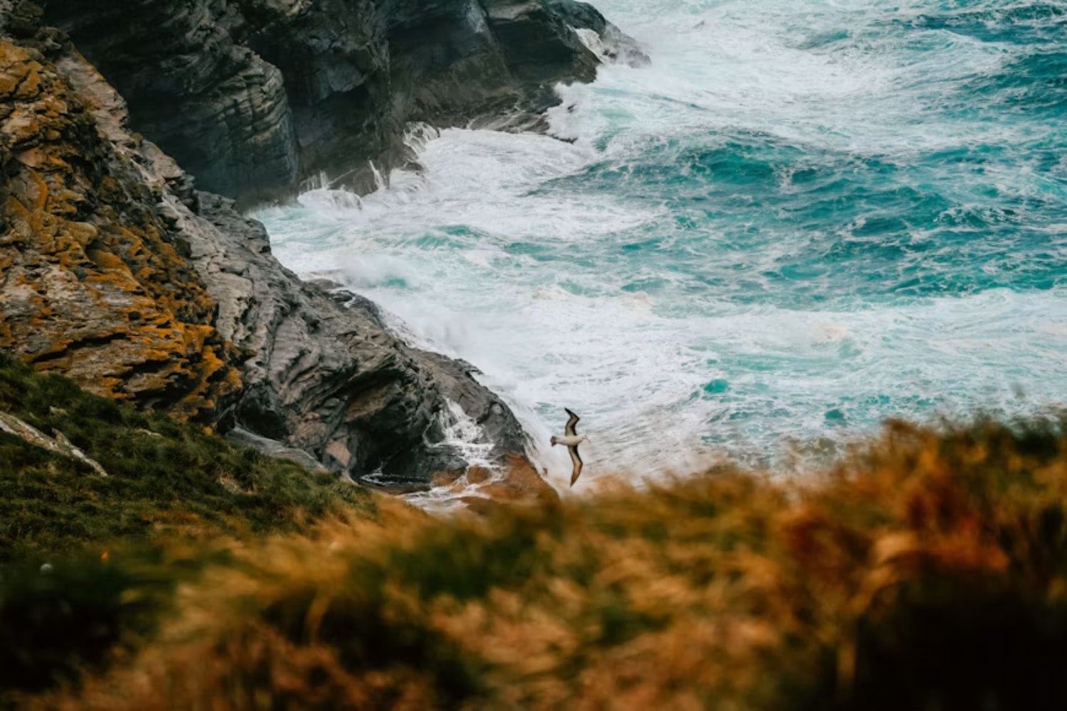 Las Islas Malvinas escondían 1.300 años de historia bajo tierra. Un hallazgo reveló algo inquietante sobre el Atlántico Sur