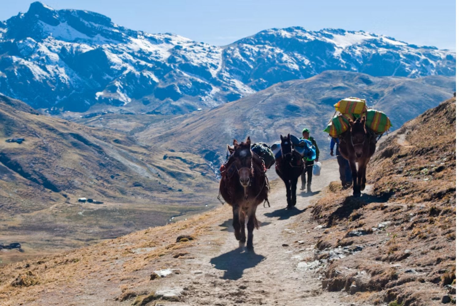 Argentina y Chile quieren hacer algo que los Andes llevan millones de años impidiendo: cruzarlos sin subir. El plan es perforar 14 kilómetros de montaña