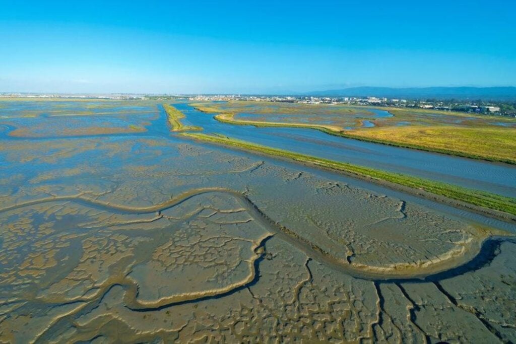 Países Bajos arrancó 300 metros cuadrados de marisma y los llevó a un laboratorio para destruirlos con olas gigantes. El resultado sorprendió incluso a los científicos