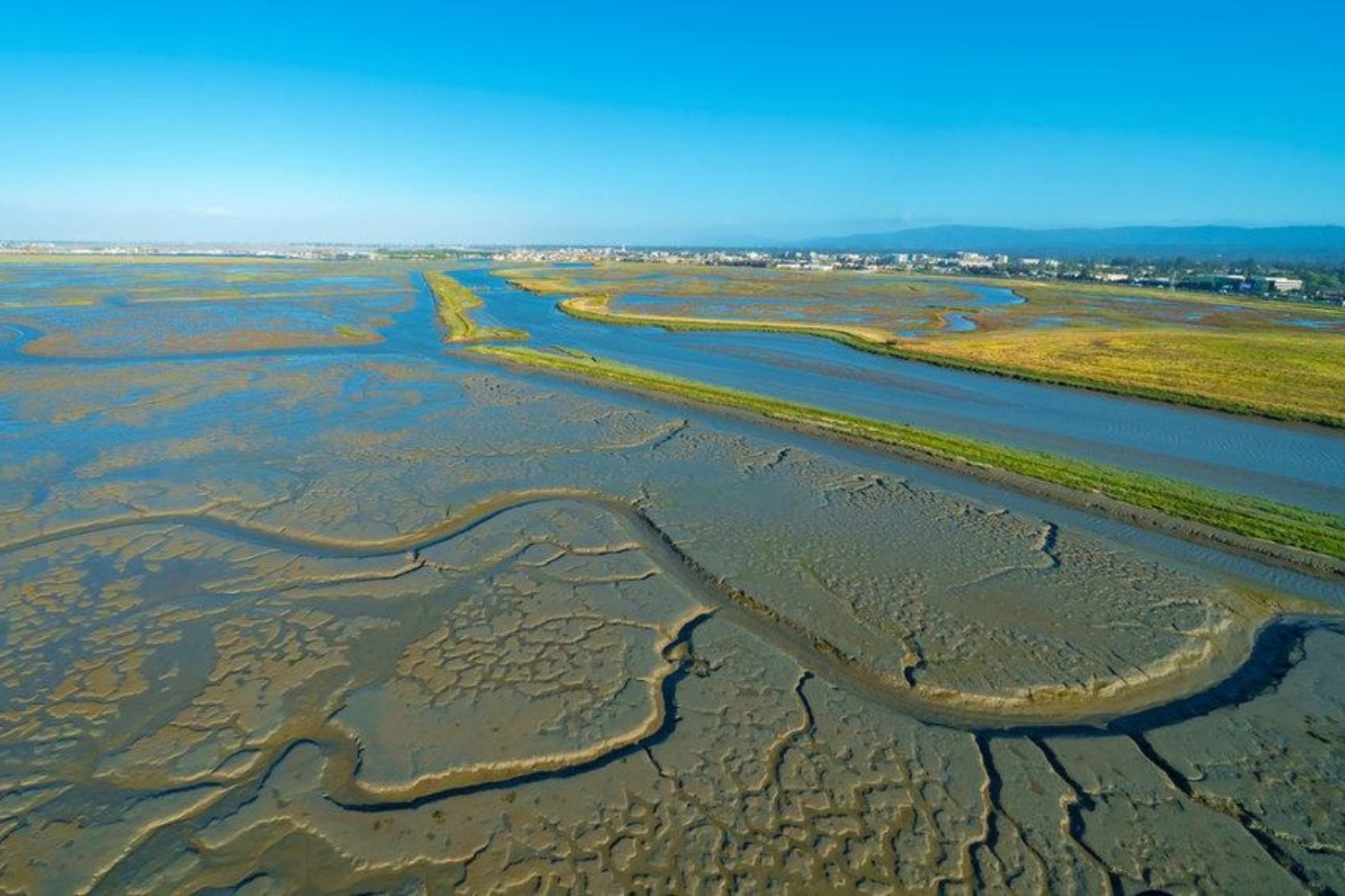Países Bajos arrancó 300 metros cuadrados de marisma y los llevó a un laboratorio para destruirlos con olas gigantes. El resultado sorprendió incluso a los científicos