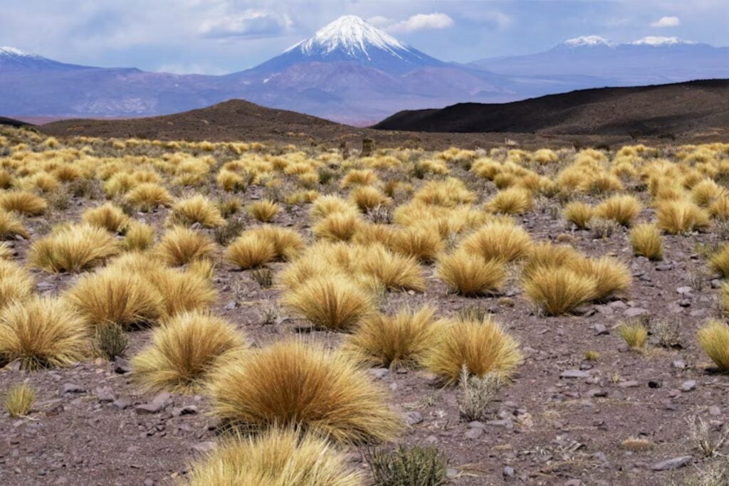 Argentina y Chile quieren hacer algo que los Andes llevan millones de años impidiendo: cruzarlos sin subir. El plan es perforar 14 kilómetros de montaña