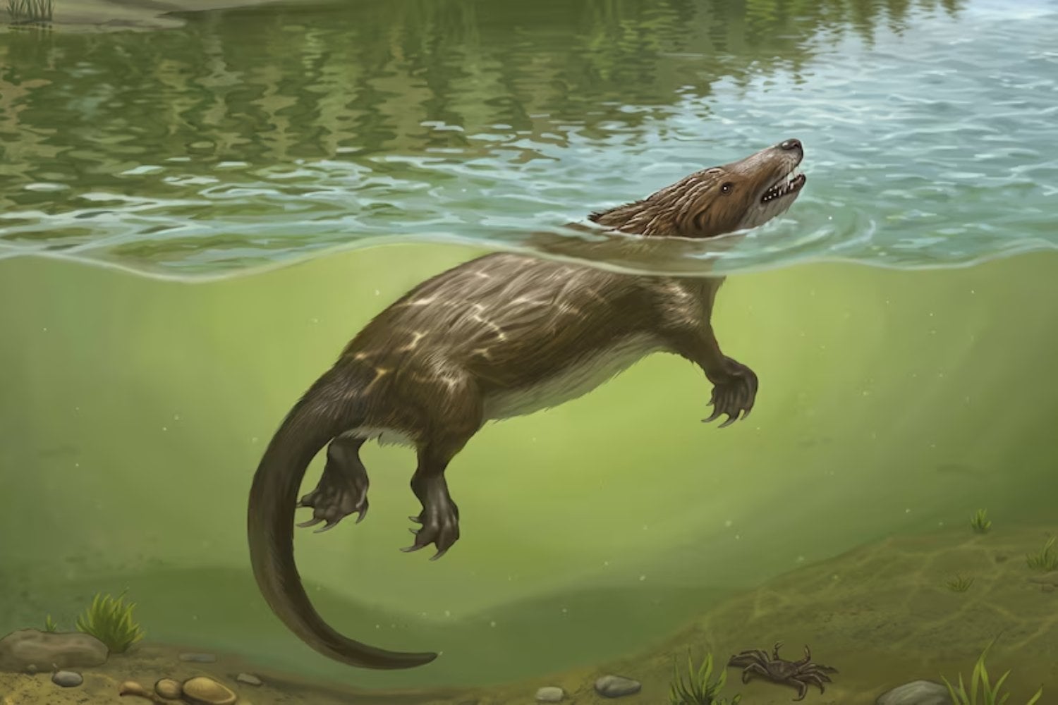 Hace 165 millones de años, un pequeño depredador nadaba entre dinosaurios. Su fósil acaba de revelar un secreto sobre algo que todos los mamíferos hacemos al nacer