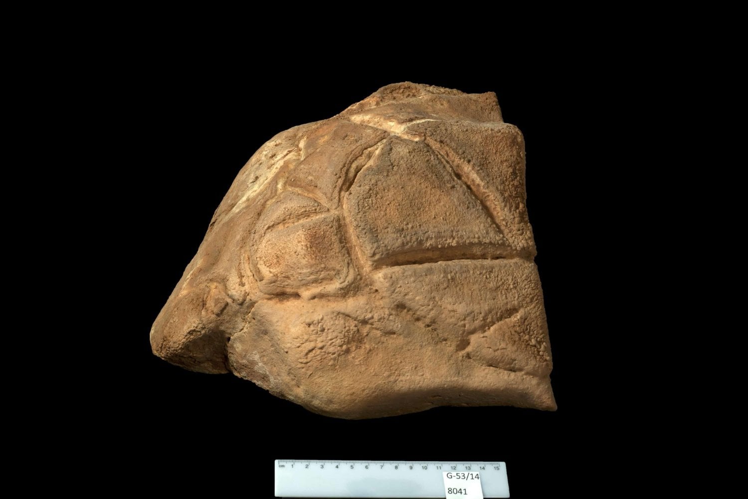 Hace 35.000 años, alguien se adentró en una cueva completamente oscura y dejó una extraña figura. Los arqueólogos creen que no estaba allí por casualidad