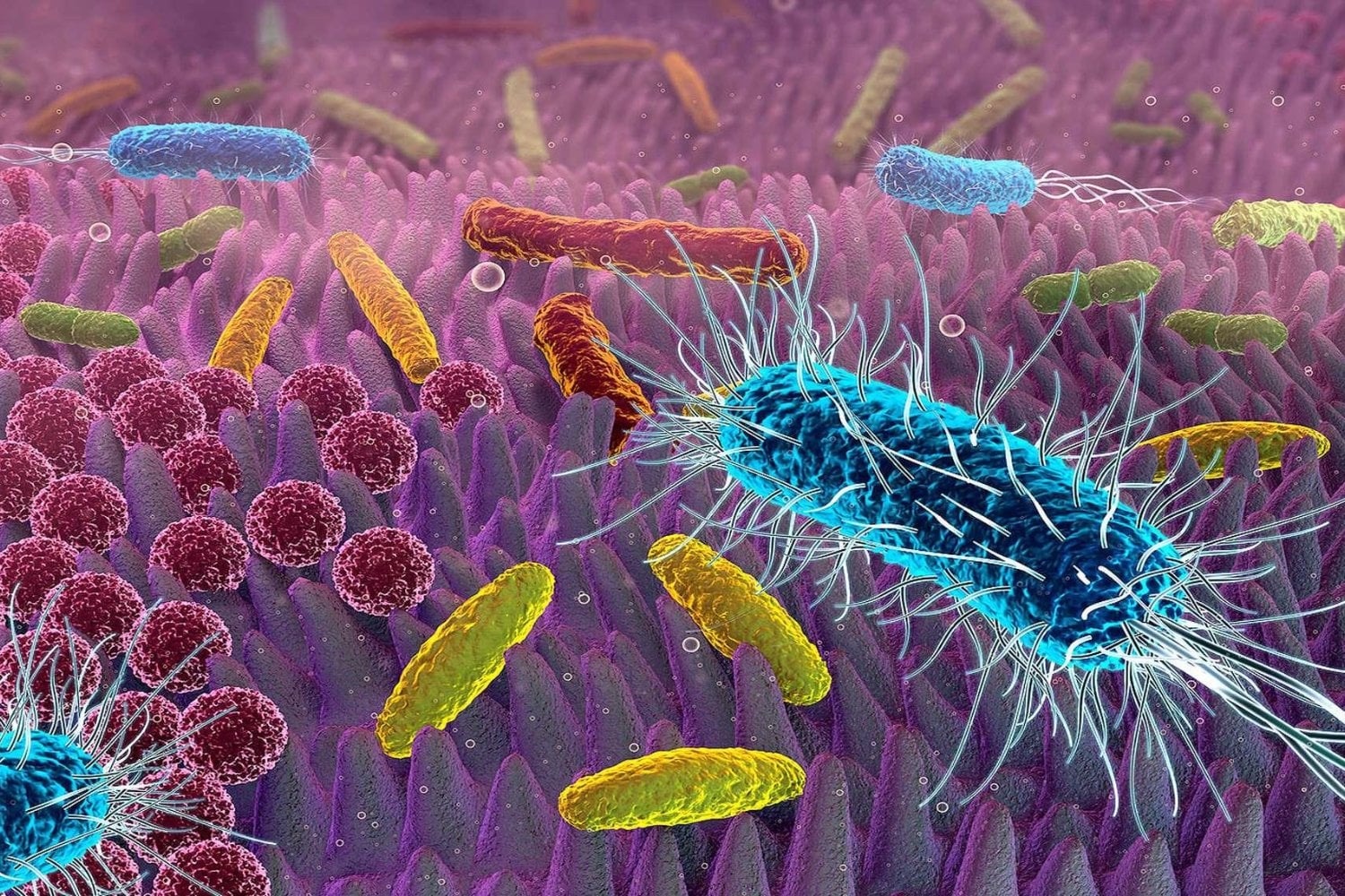 La ciencia llevaba décadas estudiando cómo el café nos despierta. Ahora descubrió que también podría estar cambiando nuestro cerebro desde el intestino