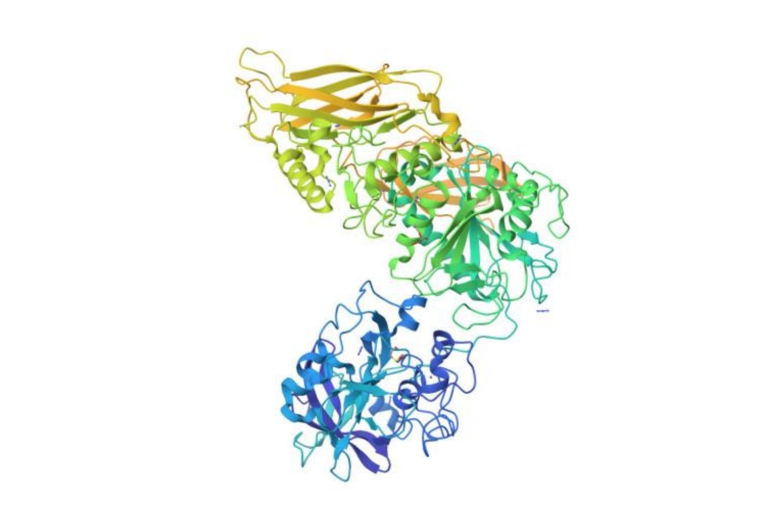 Una bacteria que vive en nuestro intestino sabe cómo desactivar nuestras defensas. Los científicos acaban de descubrir su sorprendente truco molecular