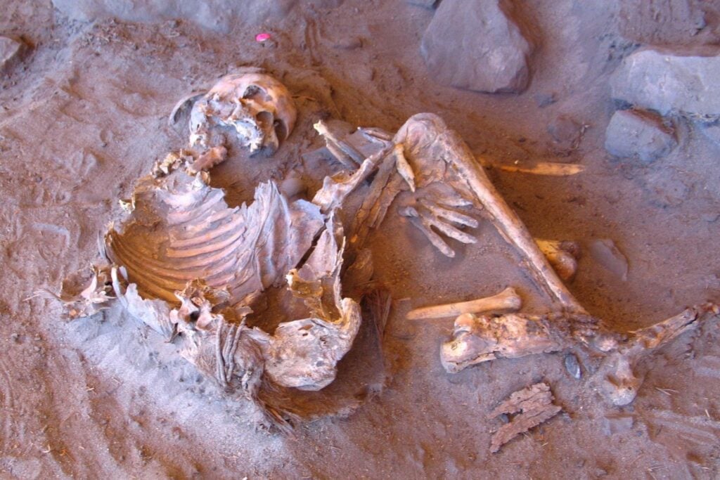 Dos mujeres murieron hace 7.000 años en el Sáhara. Su ADN acaba de revelar una historia que no encaja con lo que creíamos sobre África
