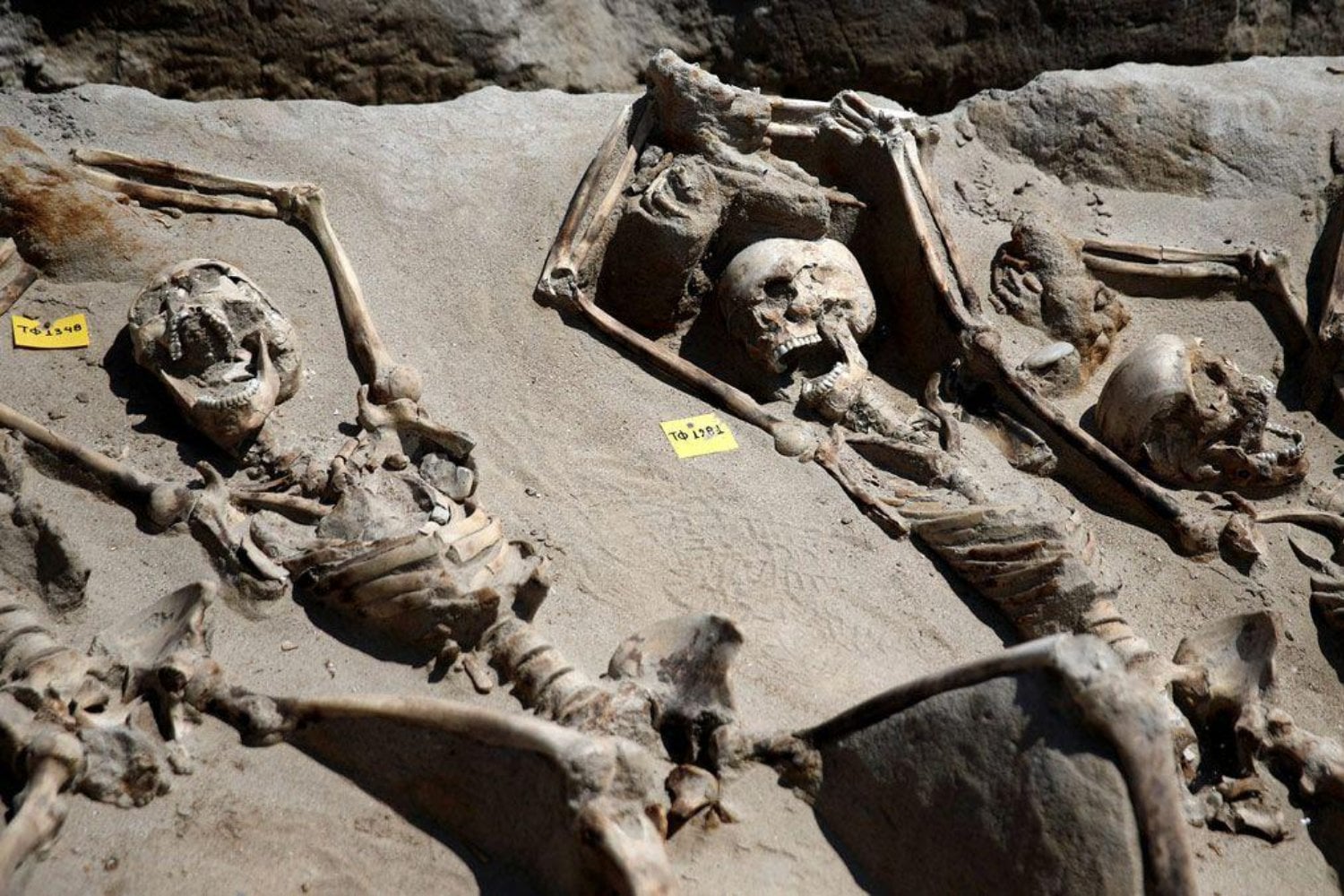 En Atenas encontraron 79 hombres enterrados con grilletes hace 2.600 años. Durante una década parecieron extranjeros, hasta que sus dientes contaron otra historia